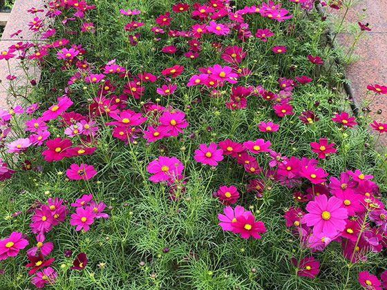 桂林送长辈鲜花-花艺空间设计